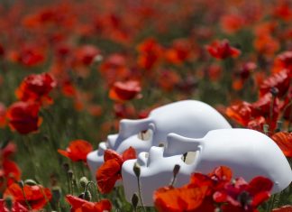 Do Not Judge by Appearance Do Not Judge by Appearance