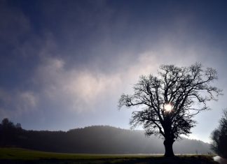 A Great Outlook in Life Outlook in life