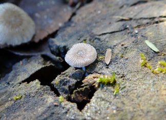 Dealing With Adversity adversity, dealing with adversity