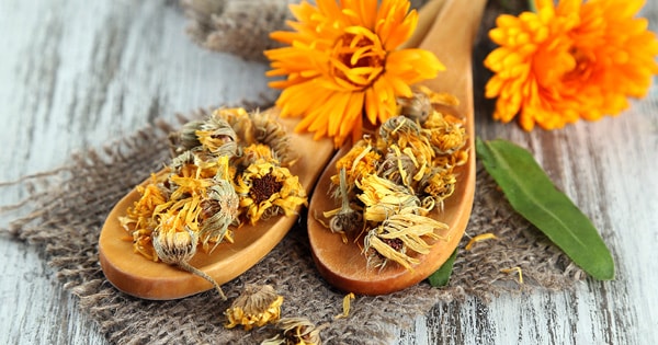 Health Benefits of Calendula