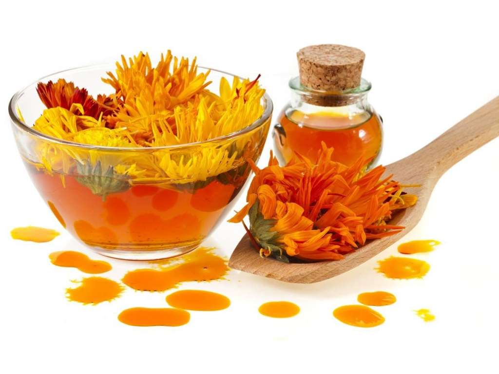 Health Benefits of Calendula