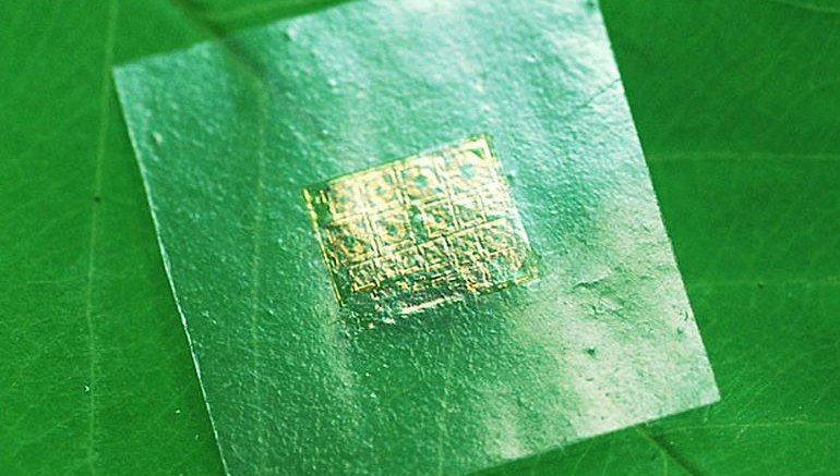 Biodegradable Semiconductors Could Help Our E-Waste Problem