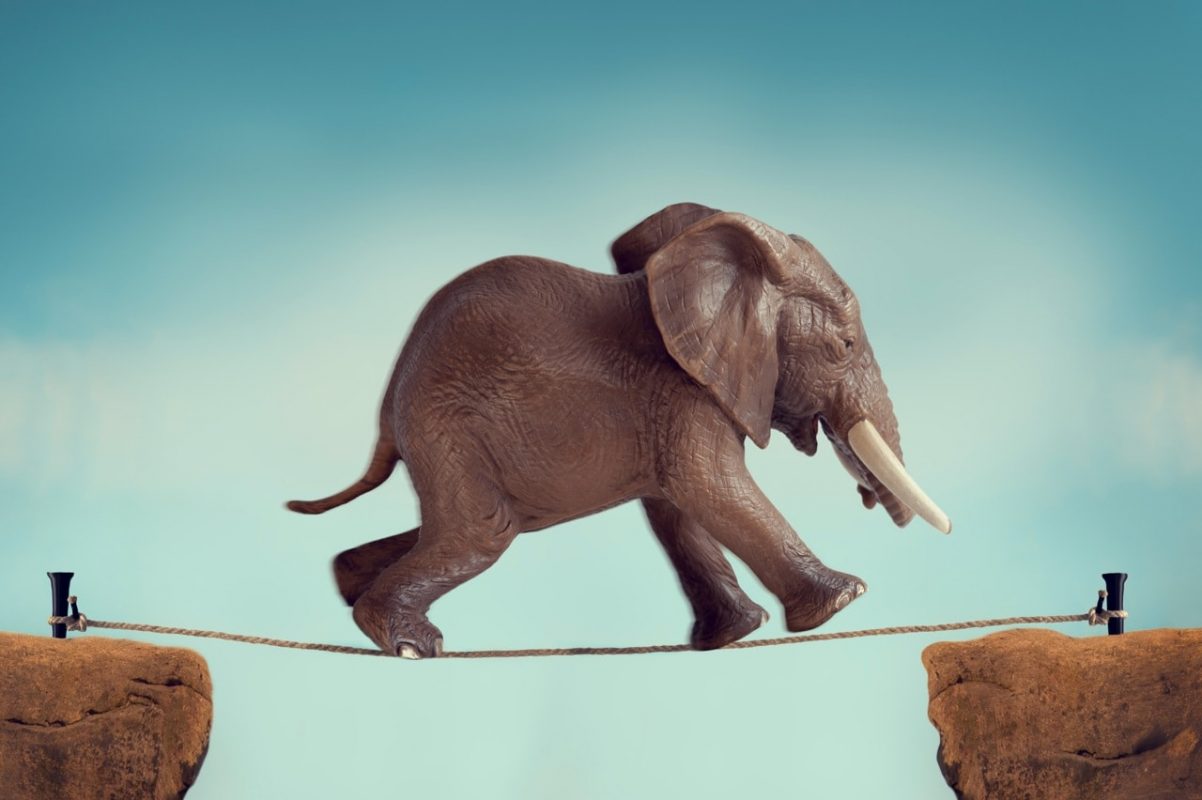 Слон шагает по веревке