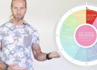 The Amazing 24 hour Chinese Body Clock Chi Cycle 24 hour chinese body clock