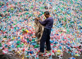 Scientists Accidentally Create Mutant Enzyme That Eats Plastic Bottles Mutant Enzyme
