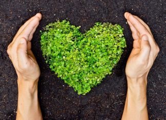 8 Simple Ways to Help the Environment save the environment