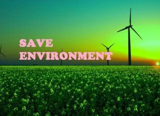 9 Things You Can Do to Save the Environment environment