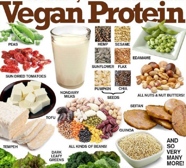 10 SUPER HEALTHY AND HIGH PROTEIN FOODS THAT VEGANS SHOULD EAT | Table ...