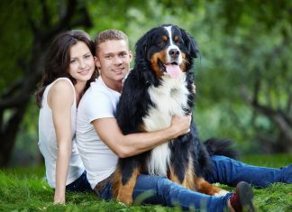 Pets and Their Spiritual Impact on Our Lives