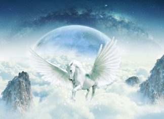 Is There a Heaven for Animals?