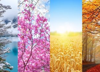 4 Ways Seasonal Changes Can Affect Your Mood