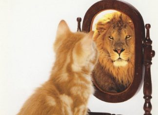 How to Make Rebuilding Your Self Confidence A Priority