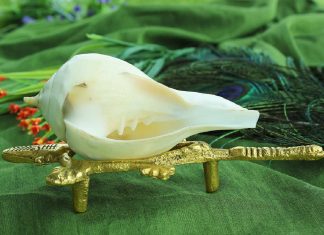 Conch Symbolism in Hindu Religion