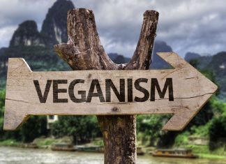 Is vegan design the Next Big Trend?