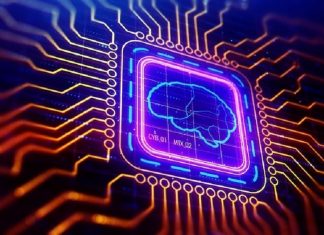 Scientists Engineered Neurons to Make Electrically Conductive Materials