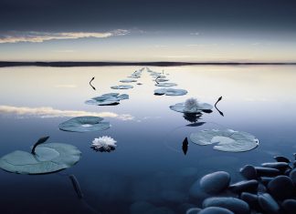 Feeling Your Way Through Life