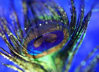 9 Powerful Mantras in Sanskrit and Gurmukhi