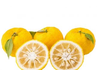13 Emerging Benefits and Uses of Yuzu Fruit
