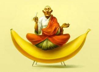 What’s the Difference Between a Plant-Based and Vegan Diet?