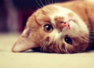 15 Quotes About Genuine Prosperity (not money)