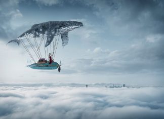 Psychologist Explains Why the Pursuit of Happiness Is Most Important