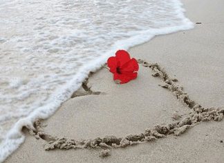 13 Signs Marriage Isn’t Right For You