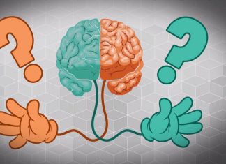 Why Are Only 10% of People Left-Handed? Here’s What Scientists Know So Far