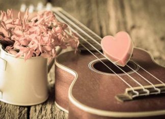 20 Cute Quotes About Being in Love