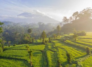 8 Reasons Why Bali Rehabs are Best for Addiction Recovery Rehab Bali
