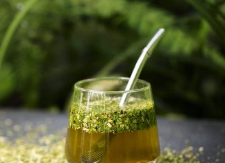 Yerba Mate: The Ethical and Healthier Alternative to Coffee