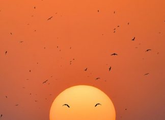 5 Different Forms of Spiritual Ascension: Which Have You Experienced?