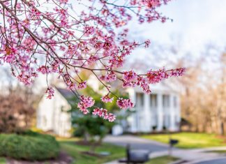 5 Tips for a Seamless Spring Move