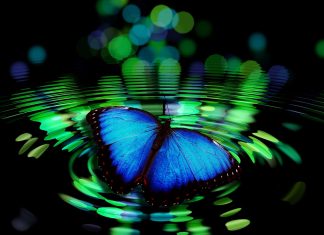 You Might Be Spiritually Awake If…