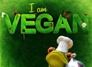 5 Adjustments to Make When Changing to a Vegan Lifestyle