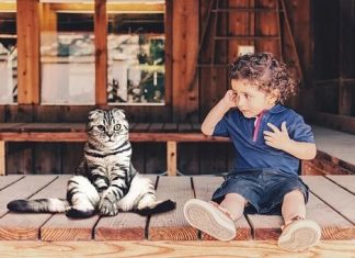 Discover the Joy of Doing Nothing
