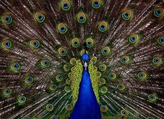 20 Body Positive Quotes to Help You Accept Yourself As Is