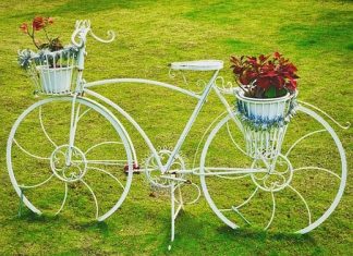 Is Your Landscaping Harming the Planet?