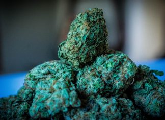 CBD vs. THC- Is There Any Difference? green