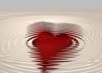 Seeing Through the Eyes of Love: Life’s Covenant