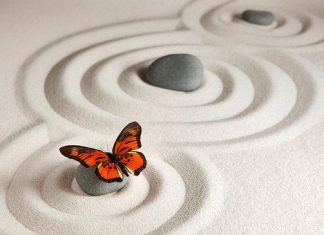 Transforming Self-Comparison