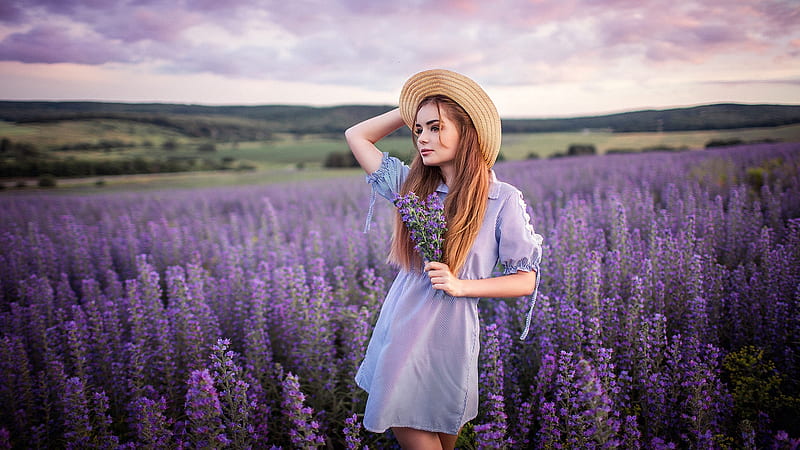 lavender field woman