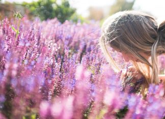 Relax and Stress Relief with Lavender Relax and Stress Relief with Lavender
