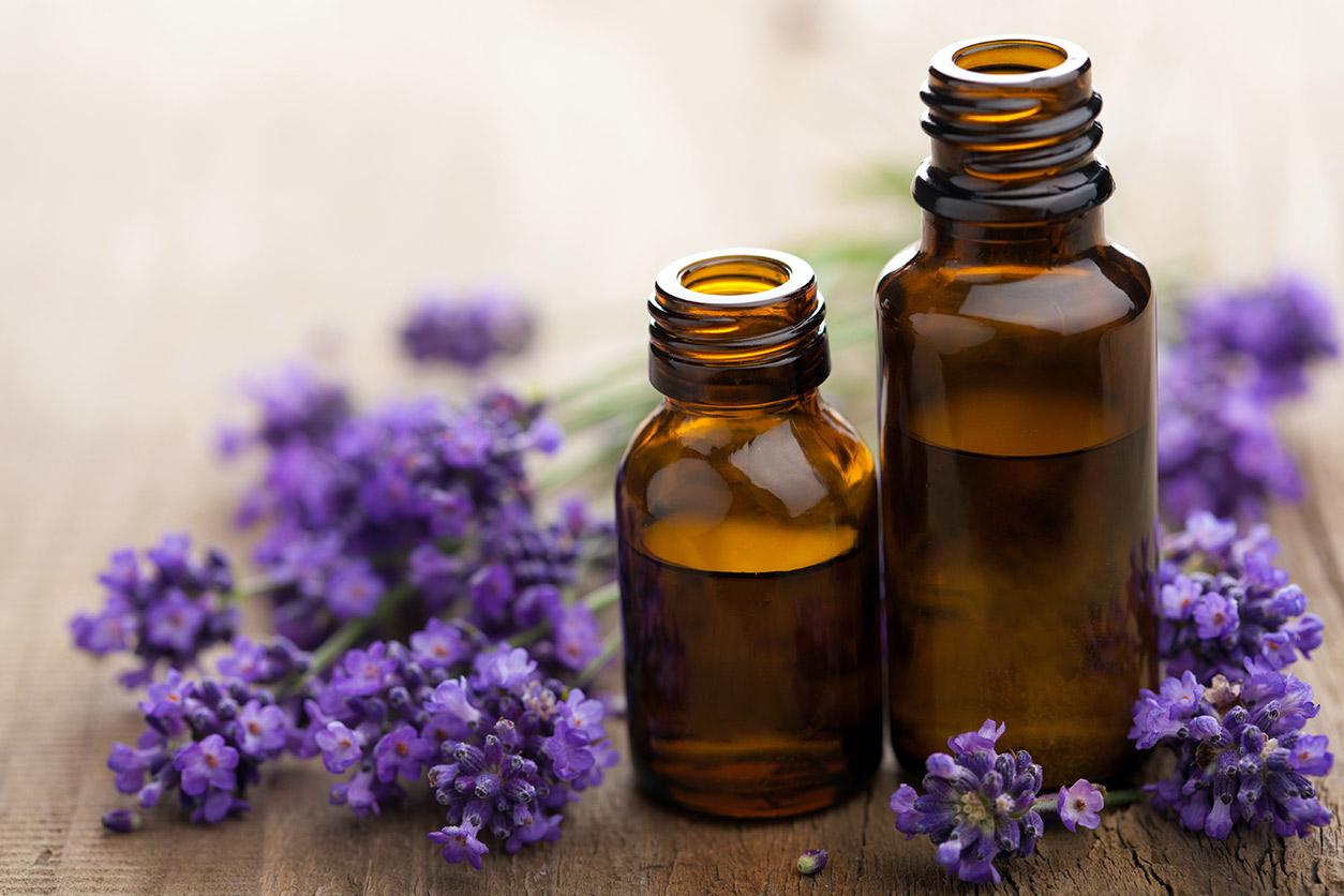 lavender oils