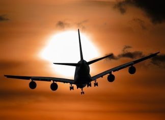 What Is a Long-Haul Flight Actually Doing to Your Body?