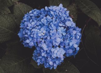 Best Last-Minute Gift Ideas and Tips to Never Show Up Empty-Handed last minute gift