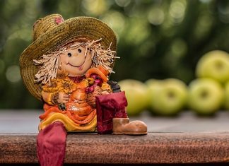 How to Start a Garden