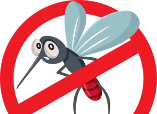 How to Get Rid of Gnats