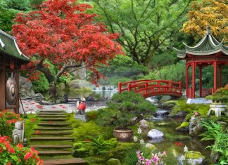 How to Make a Japanese Garden