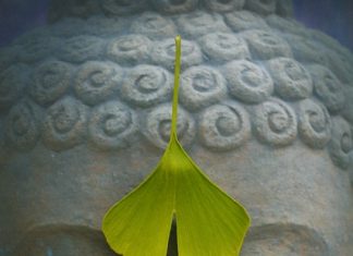 How to Practice Self-Observation (Prompts and Meditation)