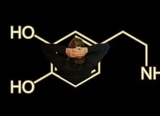 How to Activate Your Happiness Chemicals of Dopamine, Oxytocin, Serotonin, and Endorphins for a Blissful Life